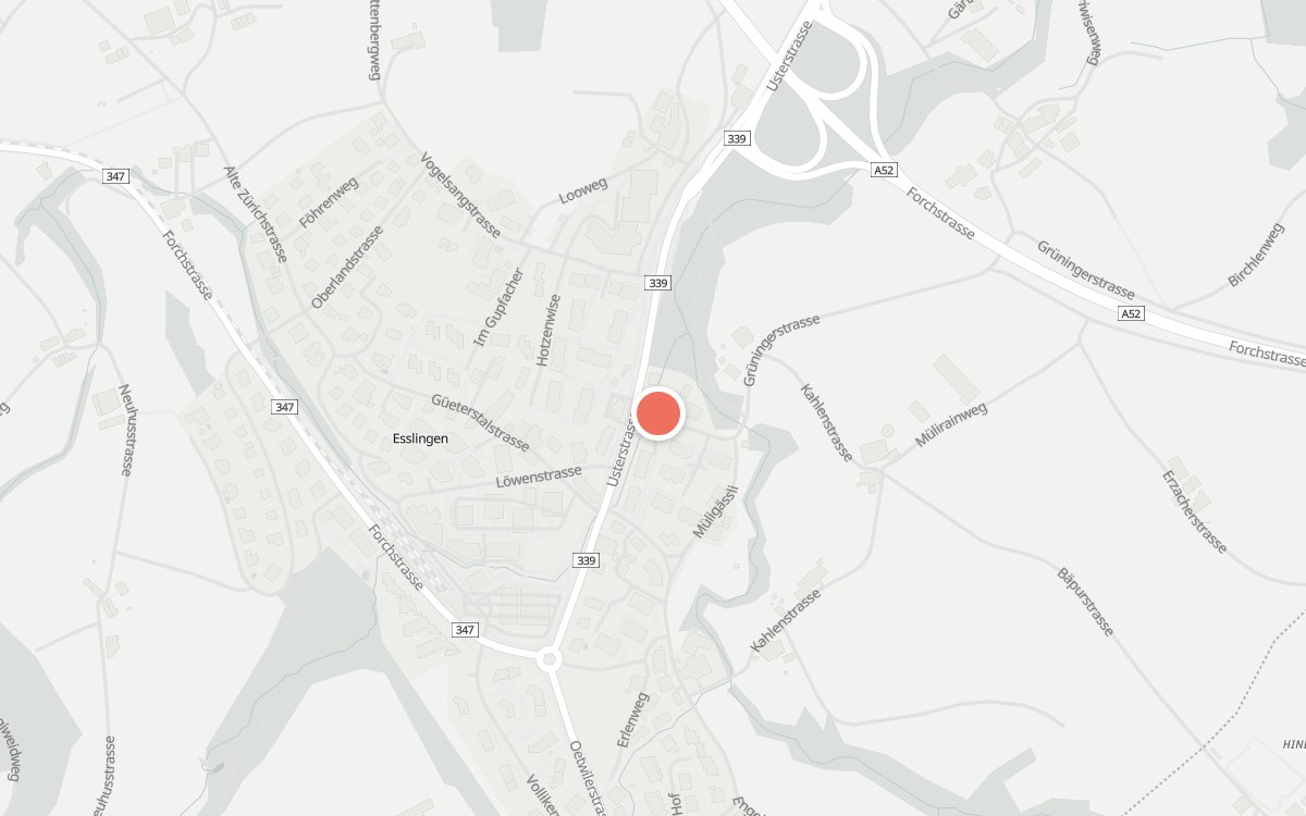 Karte: Star Pizza Kurier, Usterstrasse 3, 8133 Esslingen